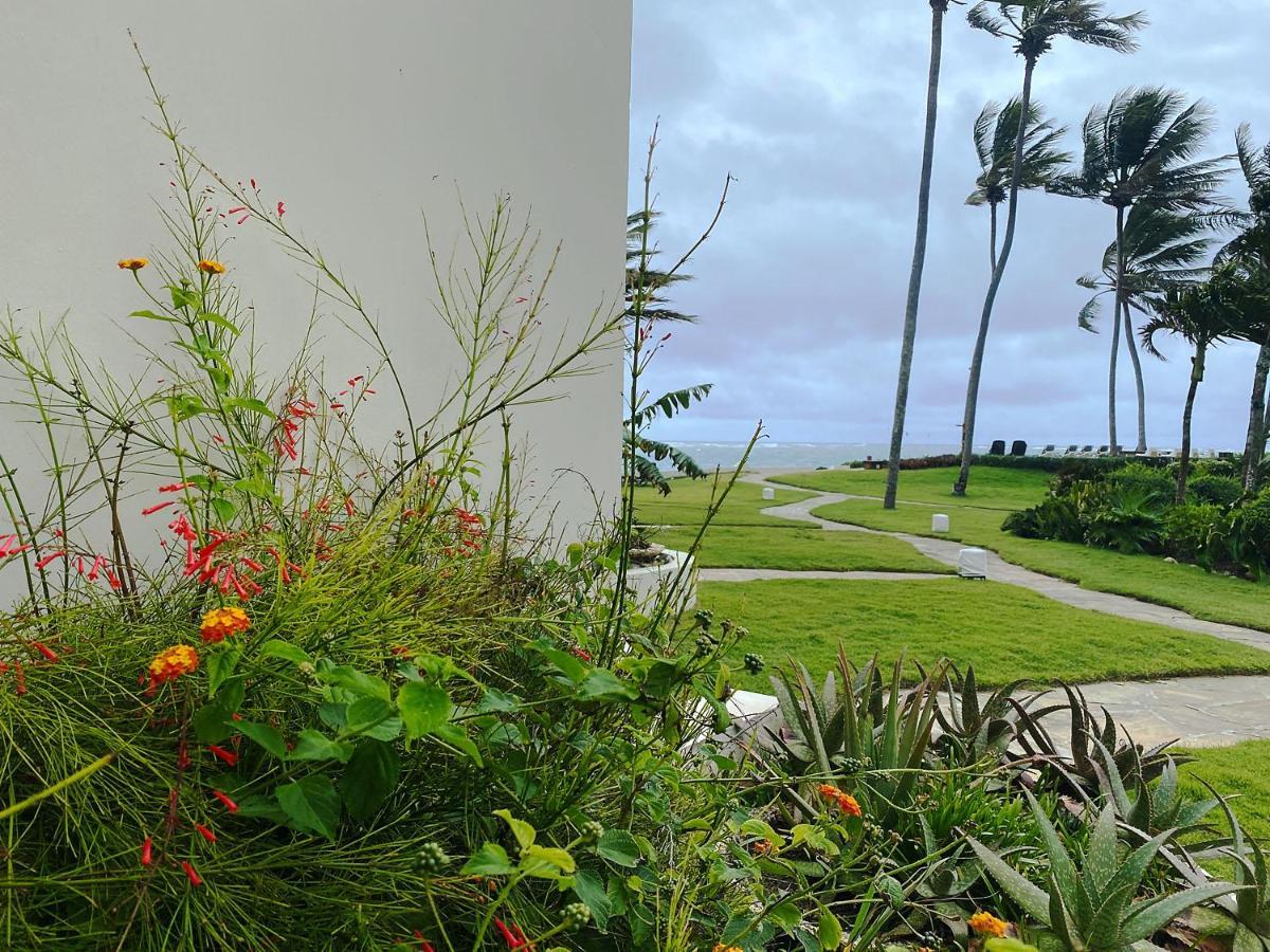 Cabarete Beachfront Condos At Nanny Estate C-5 Dış mekan fotoğraf
